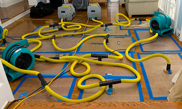 Professional Structural Drying And Dehumidification technician working in Kansas City, KS